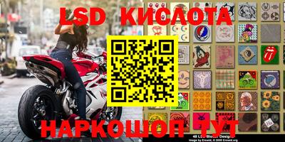 прущие грибы Можга