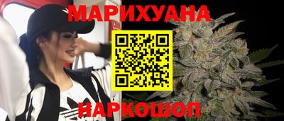 прущие грибы Можга