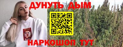 прущие грибы Можга