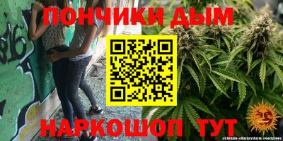 прущие грибы Можга