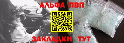 прущие грибы Можга