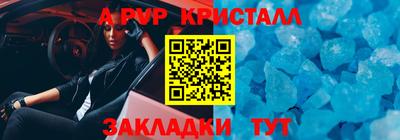 прущие грибы Можга