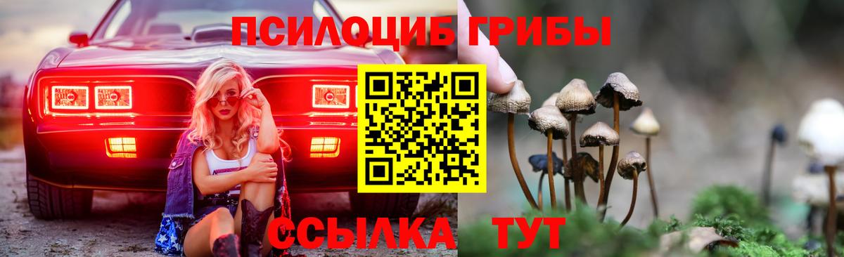 Шелехов  где продают   Вход с VPN  Псилоцибиновые грибы Psilocybine cubensis 